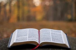 2019年广西一级建造师考试报考条件